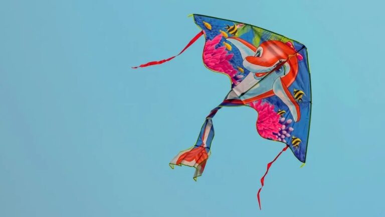 दिल्ली नजफगढ़ में पतंग पकड़ने के चक्कर में 5 साल के बच्चे की मौत